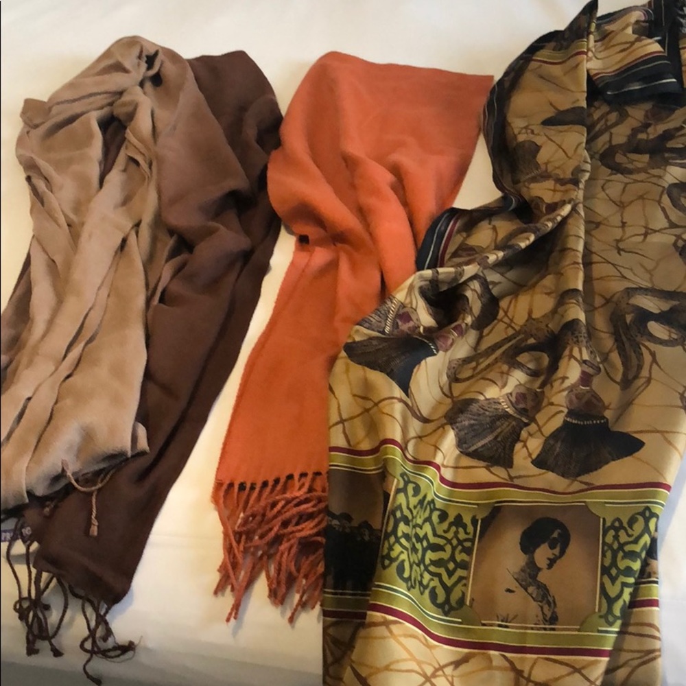 Collection of 3 fall colored scarves